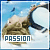  Passion (Kingdom Hearth II): 