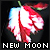  New Moon: 